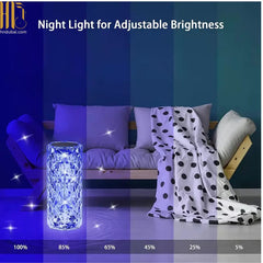 CRYSTAL LAMP | 16+ LED COLORS